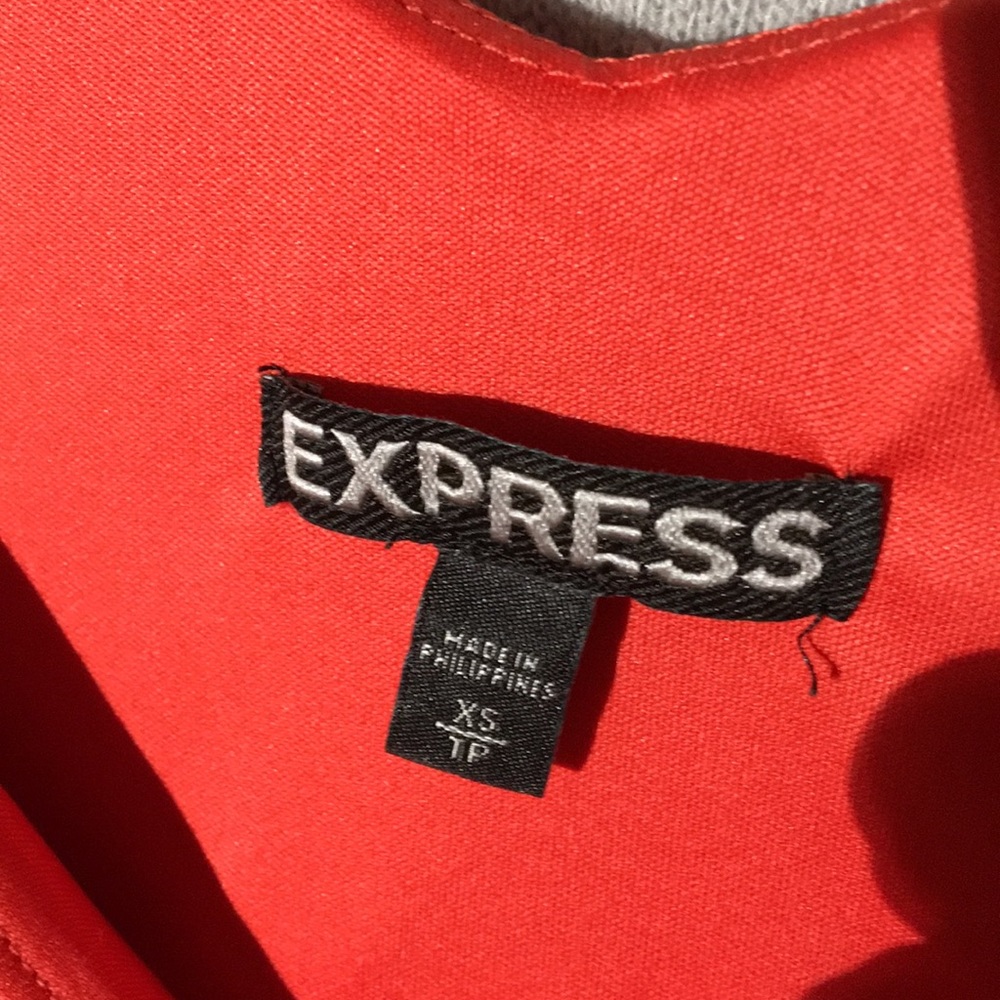 Express Dress - Picture 3 of 3